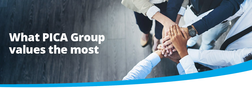 PICA Group values