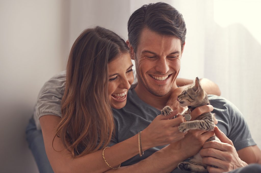 cats in strata apartment