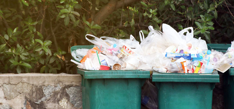 Garbage disposal – not a throwaway topic - header
