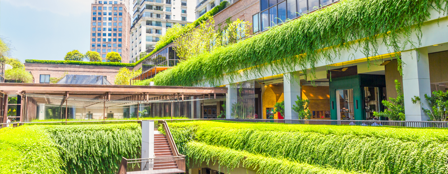 sustainability programs for strata that can help you live greener header image