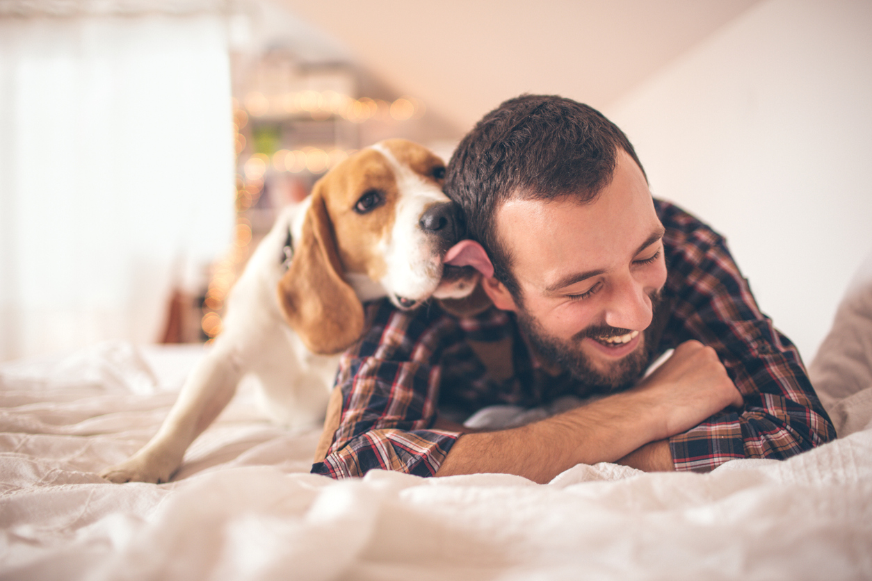 rules about pets in strata apartments feature image