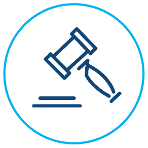 Property legislation icon