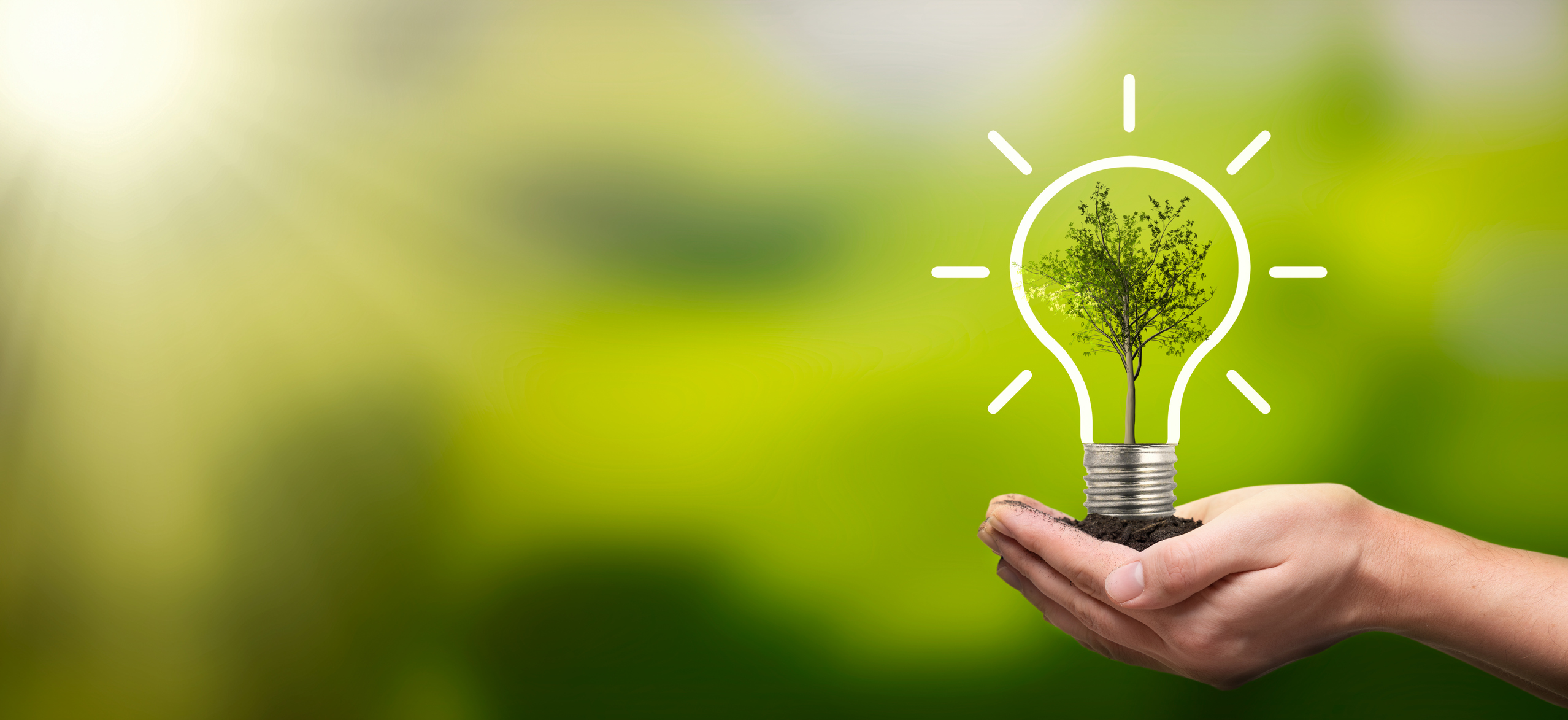 Supporting sustainability and energy savings | PICA Group