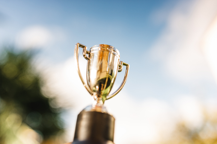 2025 PICA Group award wins